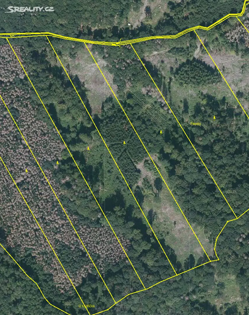 Prodej  lesa 22 051 m², Prosetín, okres Žďár nad Sázavou