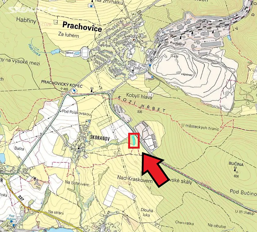 Prodej  lesa 391 m², Třemošnice - Skoranov, okres Chrudim