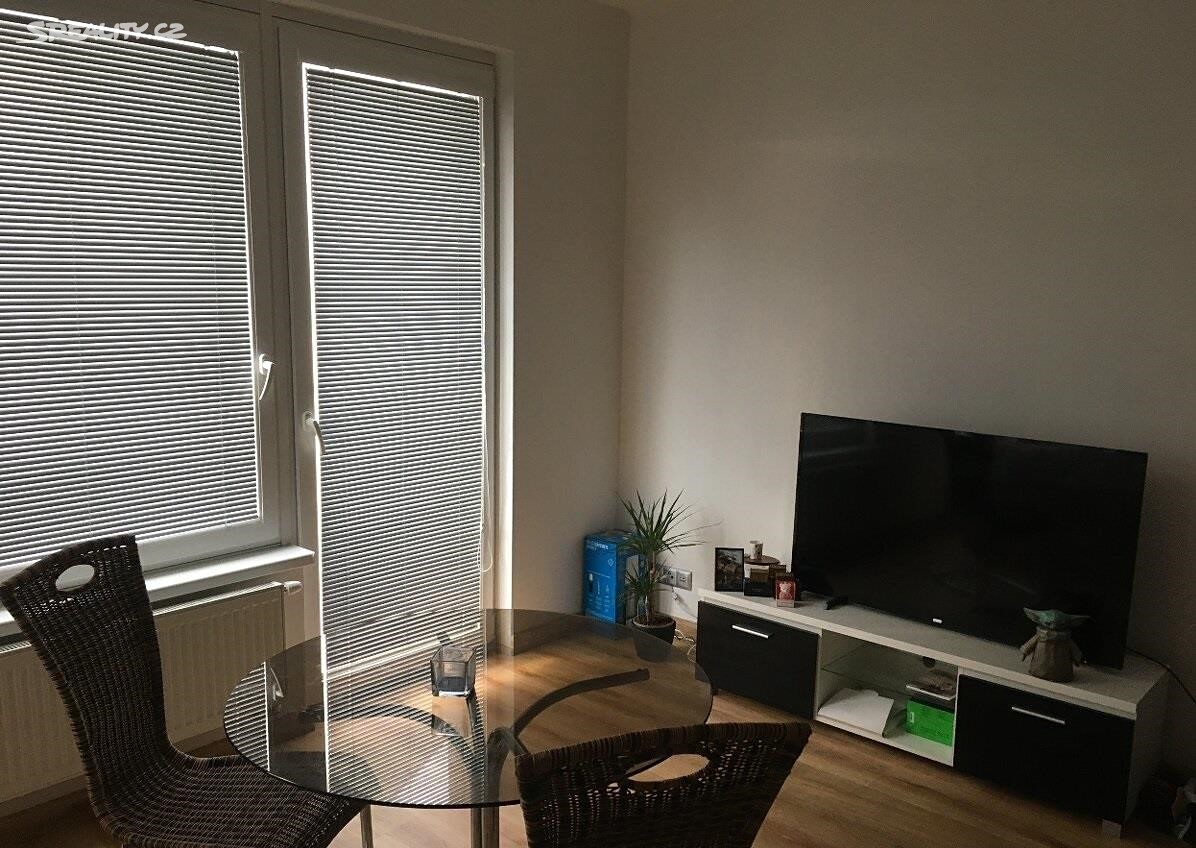 Pronájem bytu 1+kk 41 m², České Vrbné, České Budějovice - České Budějovice 2