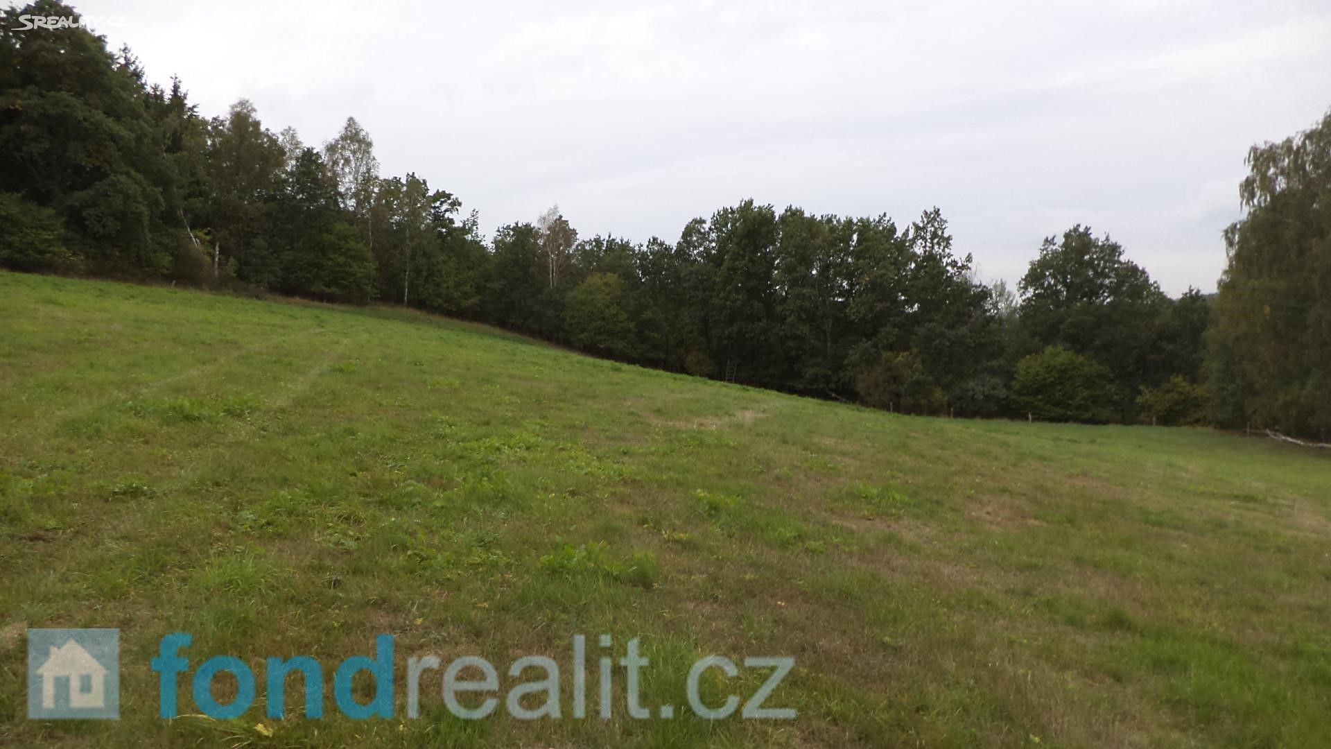 Prodej  louky 25 153 m², Nové Sedlo, okres Sokolov