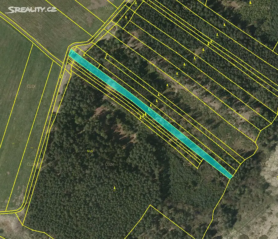 Prodej  lesa 1 478 m², Drahov, okres Tábor