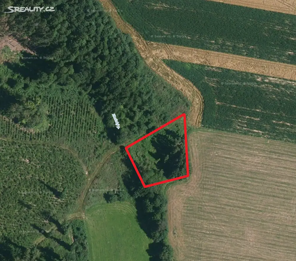 Prodej  lesa 747 m², Oldřichov, okres Tábor