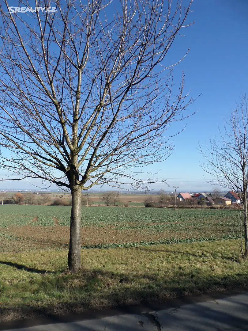 Prodej  stavebního pozemku 1 667 m², Heřmanův Městec - Chotěnice, okres Chrudim