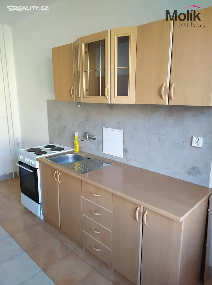 Pronájem bytu 1+1 35 m², tř. Budovatelů, Most