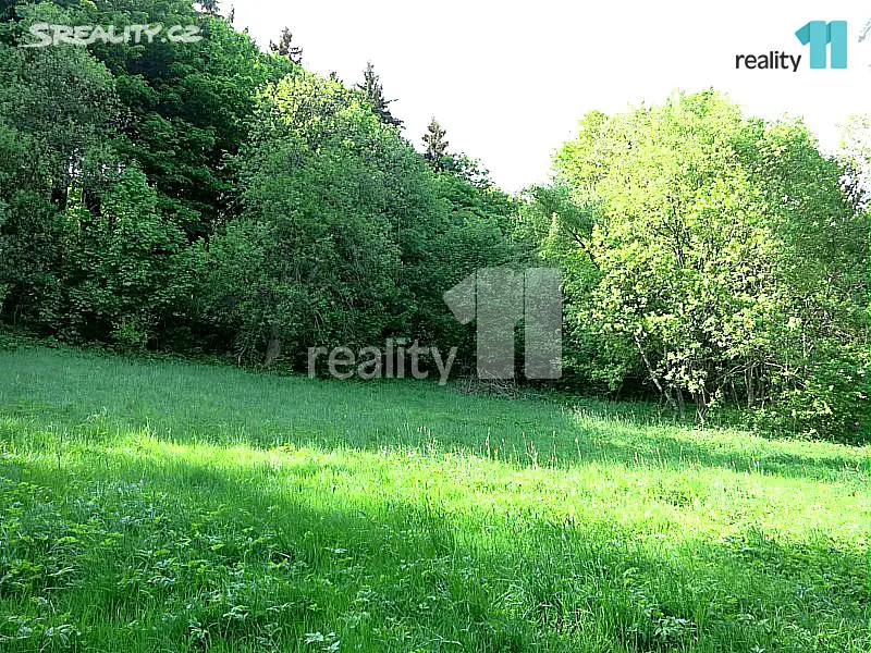 Prodej  rodinného domu 280 m², pozemek 5 521 m², Světlá pod Ještědem, okres Liberec