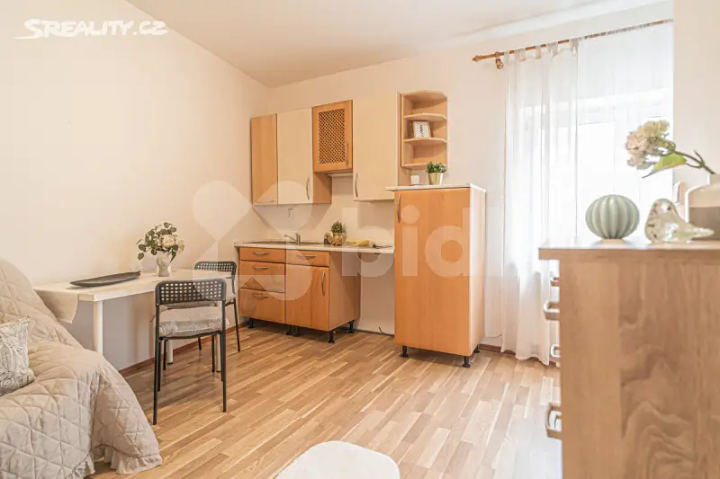 Prodej bytu atypické 22 m², V. Burgra, Kladno