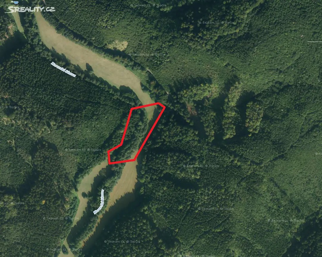 Prodej  lesa 3 138 m², Horní Čermná - Nepomuky, okres Ústí nad Orlicí
