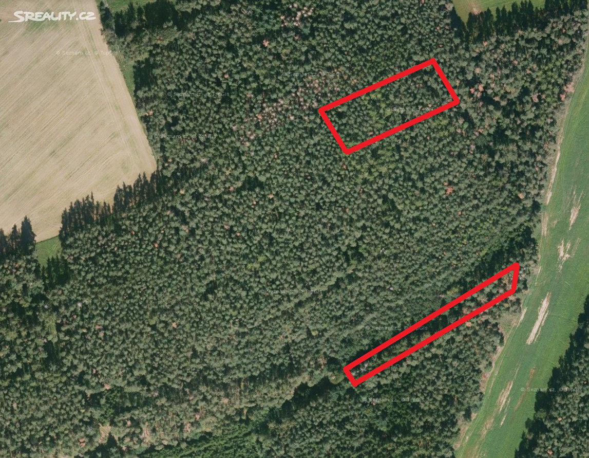 Prodej  lesa 3 527 m², Močerady, okres Domažlice