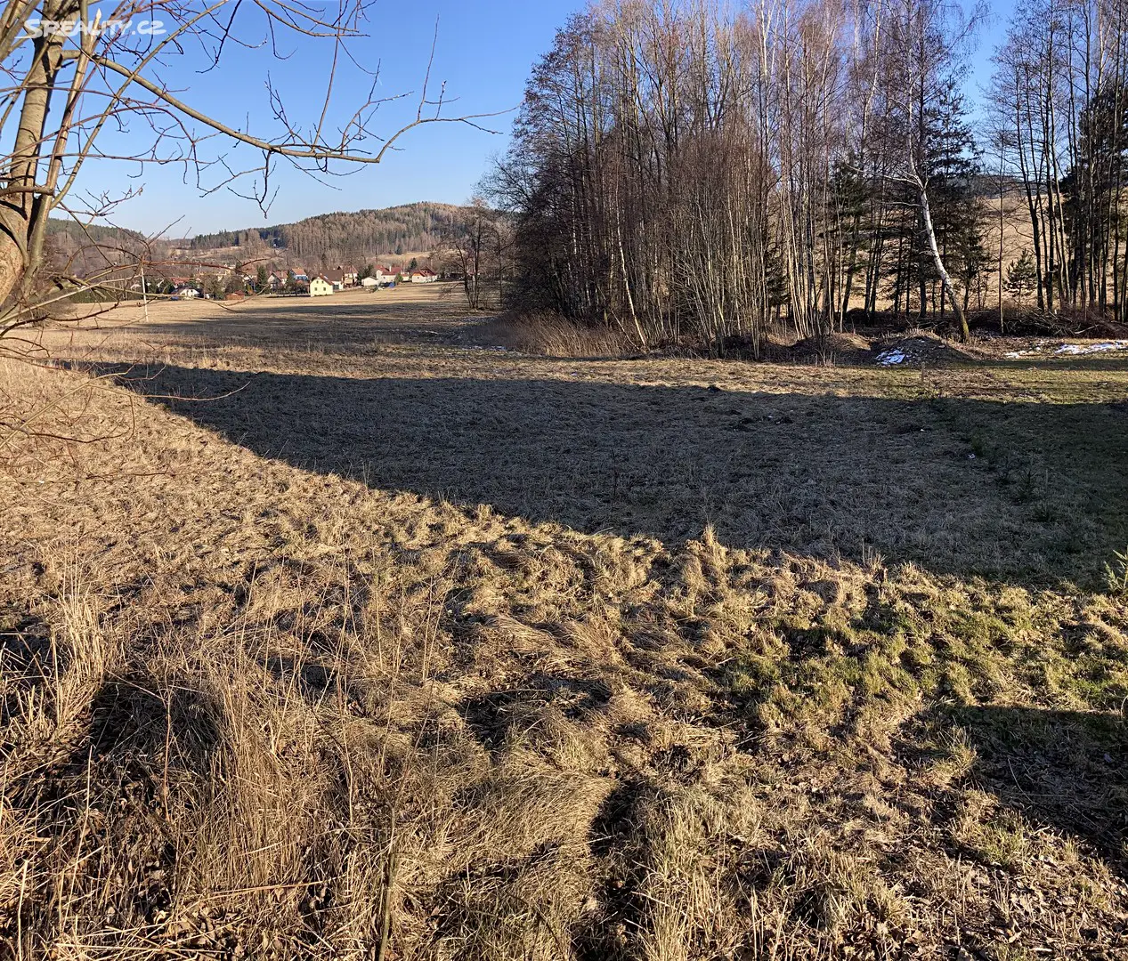 Pronájem  louky 1 800 m², Zdíkov - Masákova Lhota, okres Prachatice