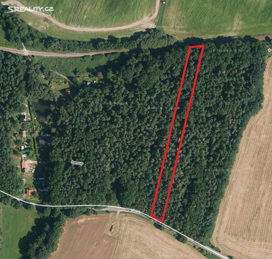 Prodej  lesa 4 037 m², Boršov nad Vltavou, okres České Budějovice