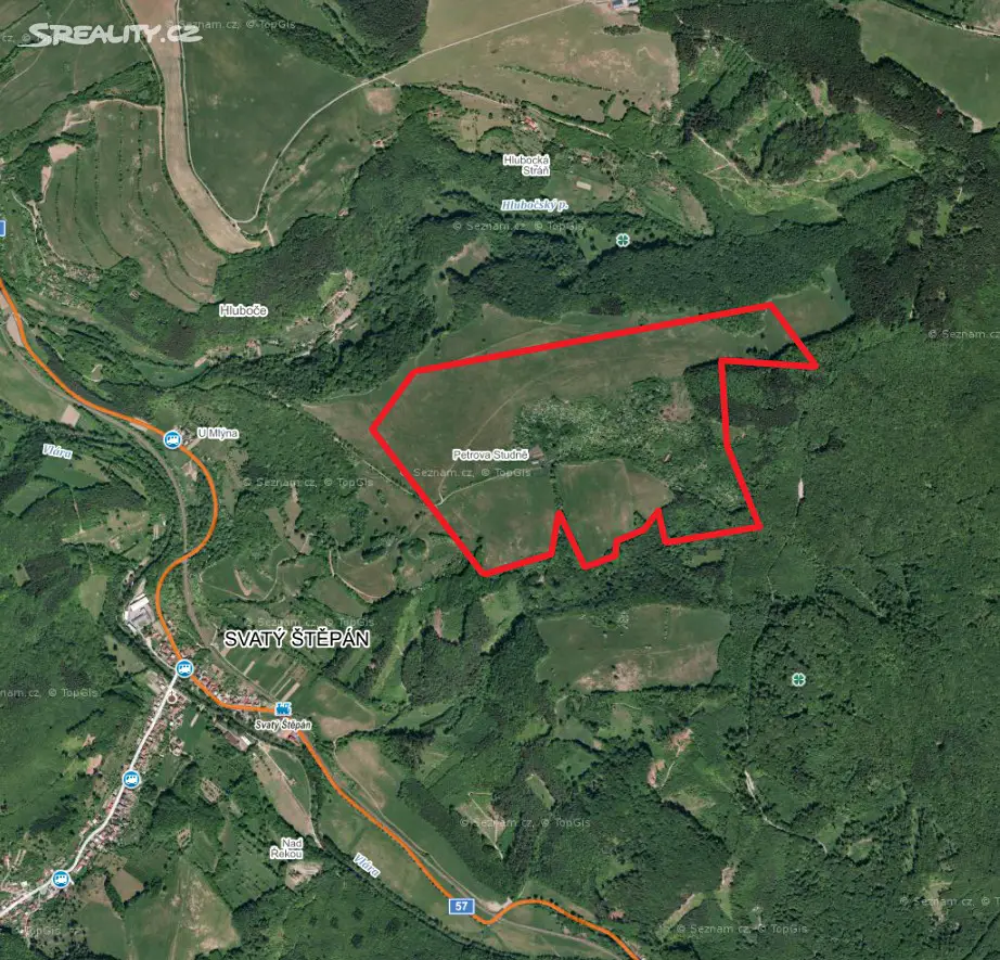 Prodej  lesa 3 909 m², Brumov-Bylnice - Svatý Štěpán, okres Zlín