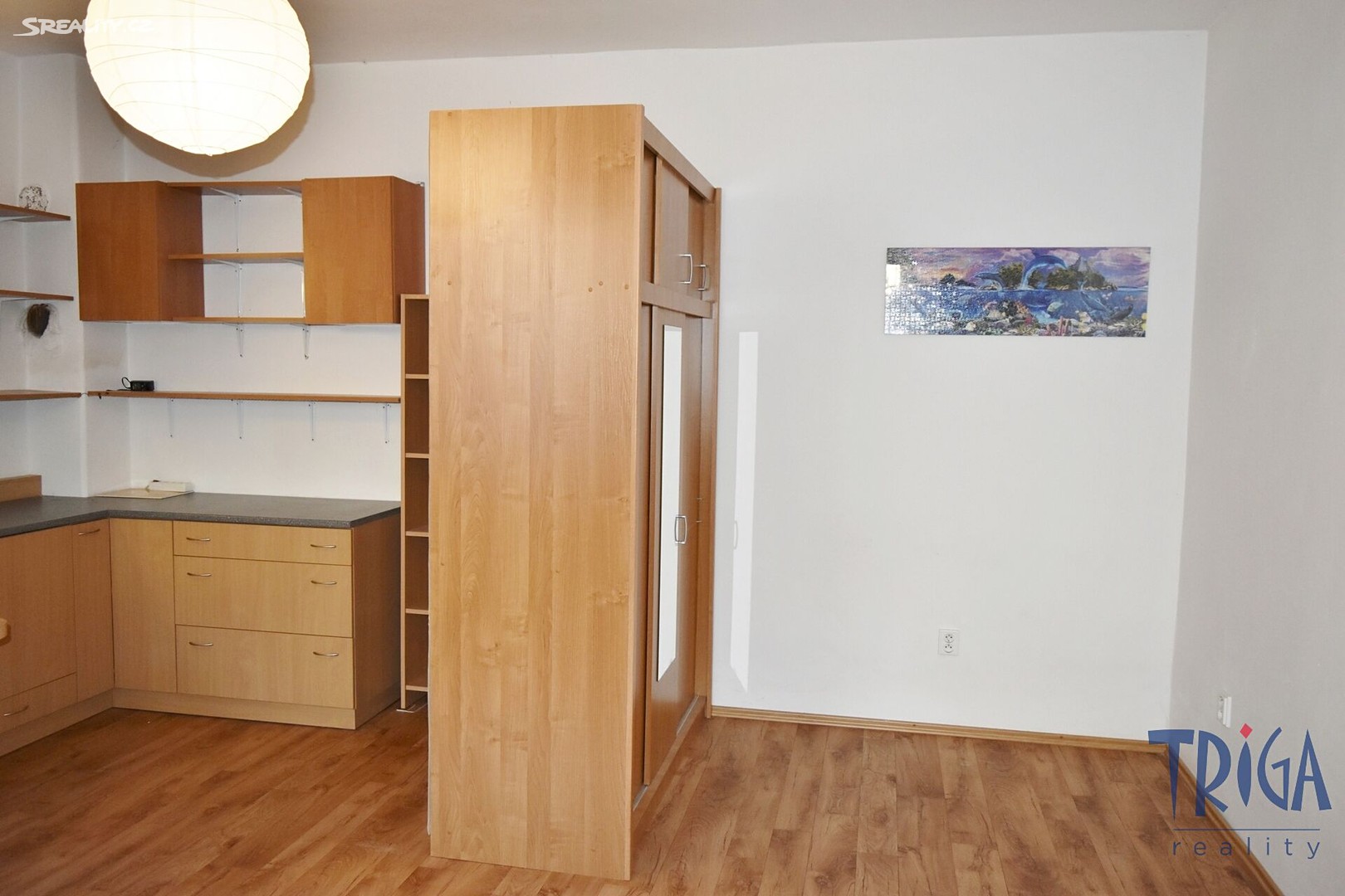 Prodej bytu 1+kk 31 m², Borek, Červený Kostelec