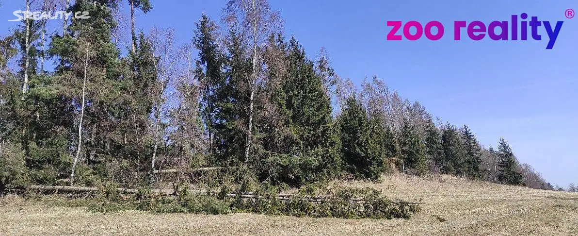 Prodej  lesa 7 803 m², Lodhéřov, okres Jindřichův Hradec