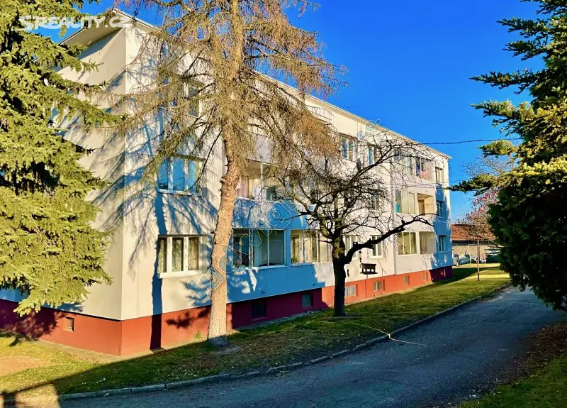 Prodej bytu 3+1 100 m², Zámecká, Bezno