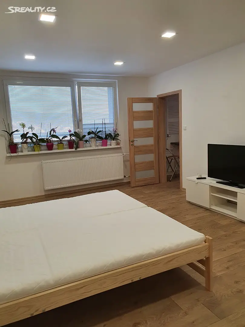 Pronájem bytu 1+1 39 m², Borový vrch, Liberec - Liberec XIV-Ruprechtice