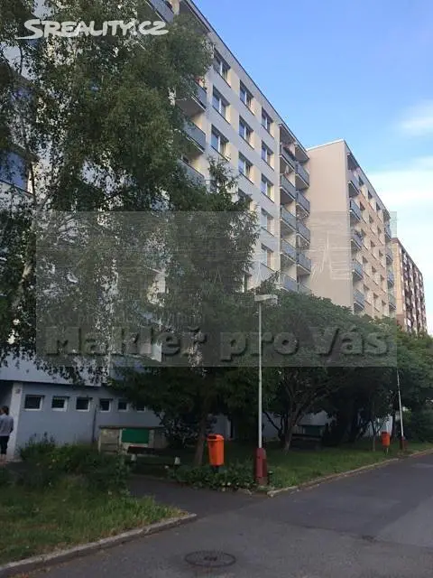 Pronájem bytu 1+1 45 m², Jana Palacha, Mladá Boleslav - Mladá Boleslav II