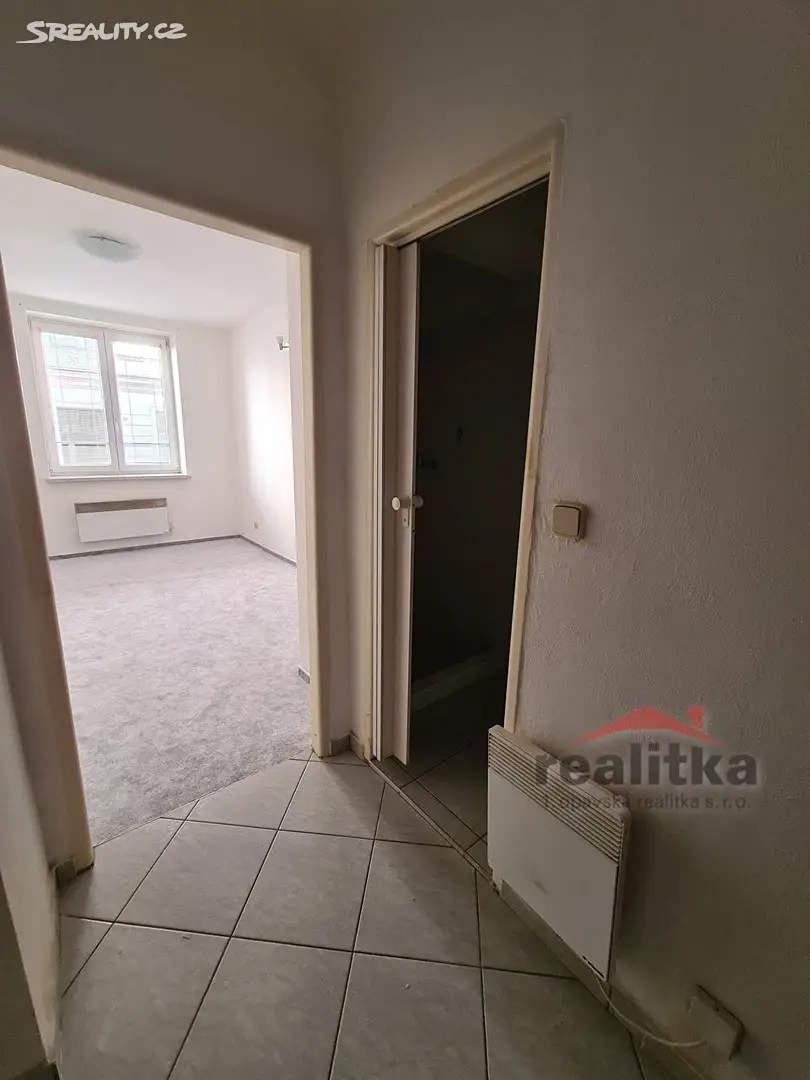 Prodej bytu 1+kk 22 m², Na Rybníčku, Opava - Předměstí