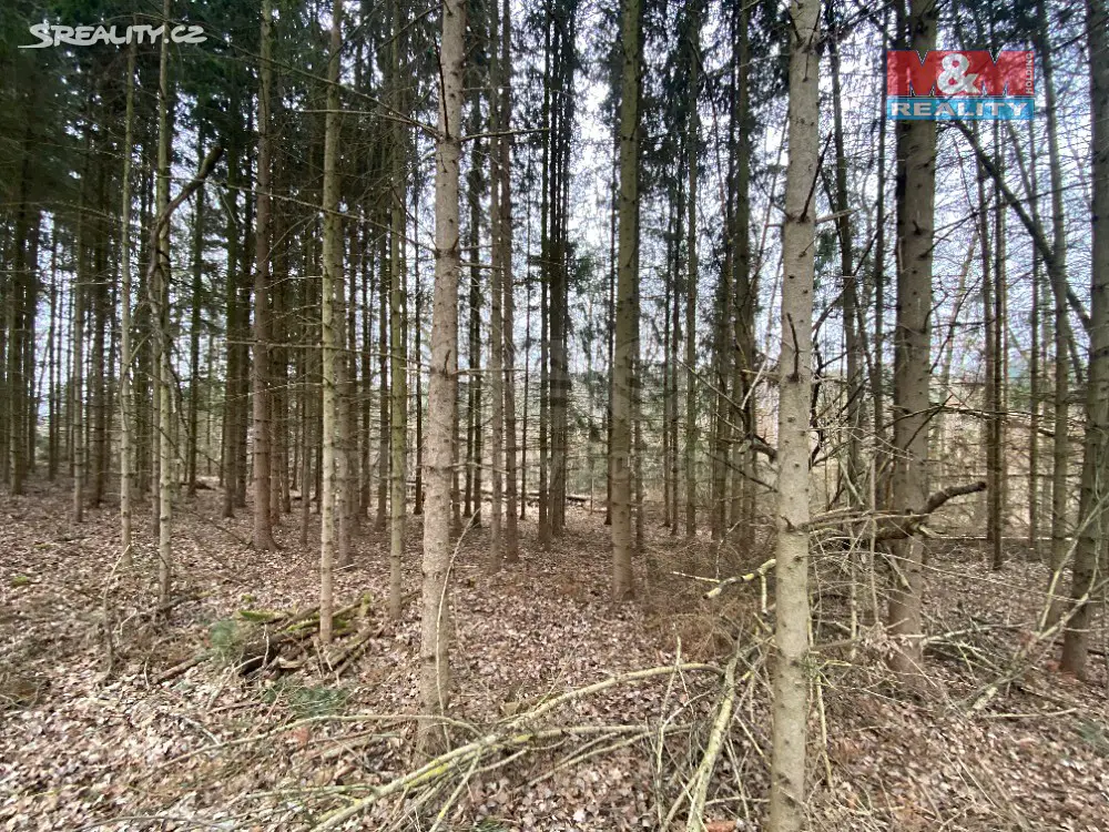 Prodej  lesa 6 173 m², Šebířov, okres Tábor