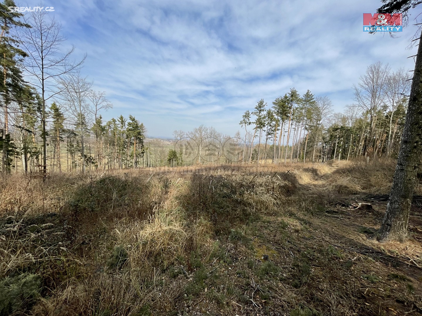 Prodej  lesa 21 807 m², Chvalovice, okres Prachatice