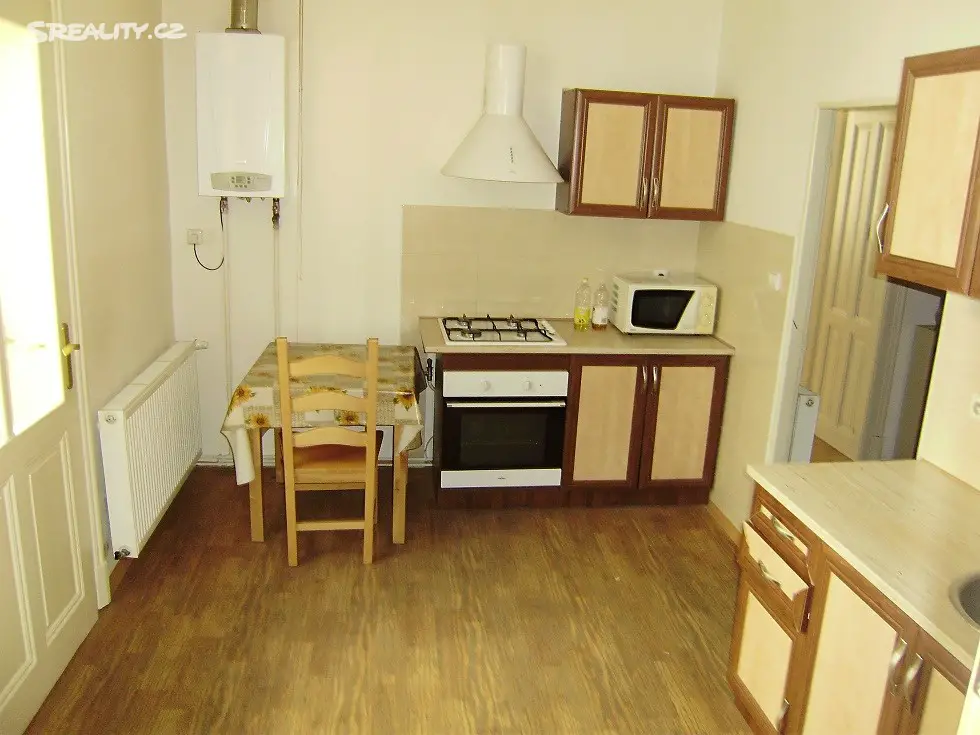 Pronájem bytu 1+1 49 m², Křenová, Brno - Trnitá