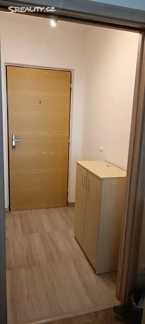 Pronájem bytu 1+kk 25 m², U Vrbky, Horní Bříza