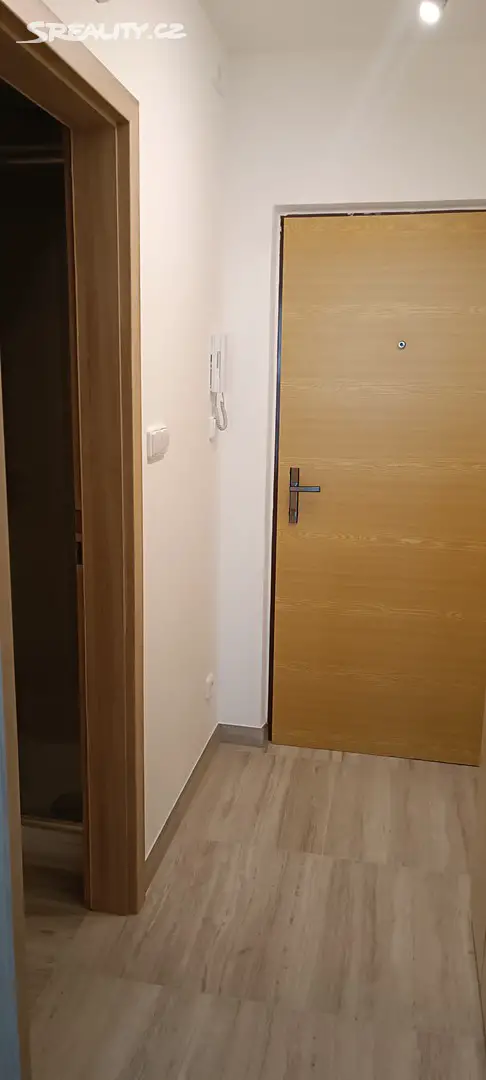 Pronájem bytu 1+kk 25 m², U Vrbky, Horní Bříza