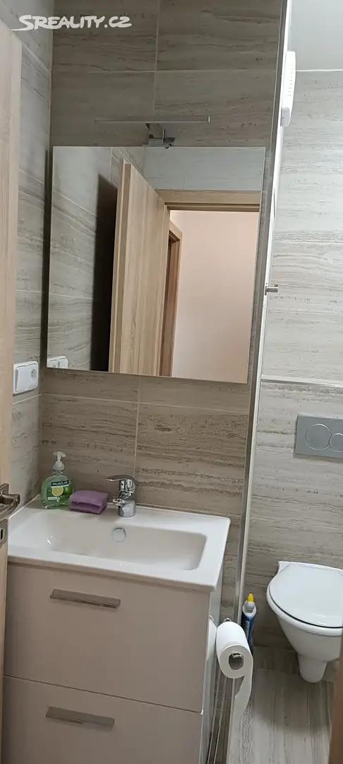 Pronájem bytu 1+kk 25 m², U Vrbky, Horní Bříza