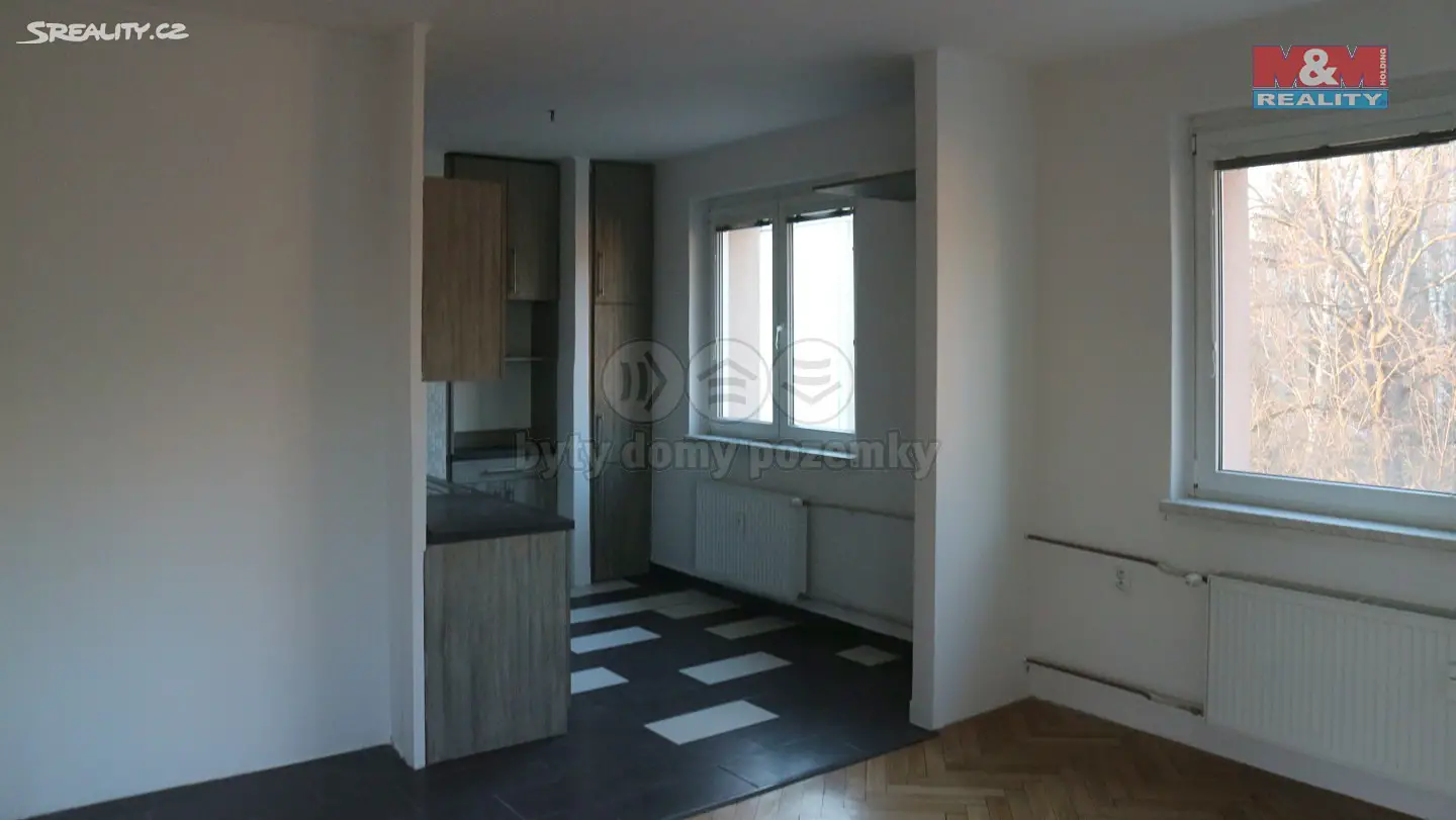 Pronájem bytu 2+kk 46 m², Riegrova, Svitavy - Předměstí