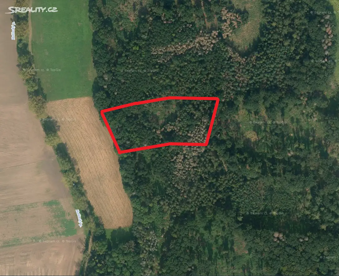 Prodej  lesa 10 256 m², Bohuslavice, okres Náchod