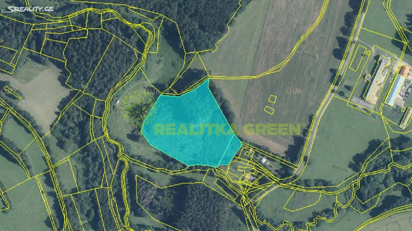 Prodej  lesa 19 569 m², Staré Bříště, okres Pelhřimov