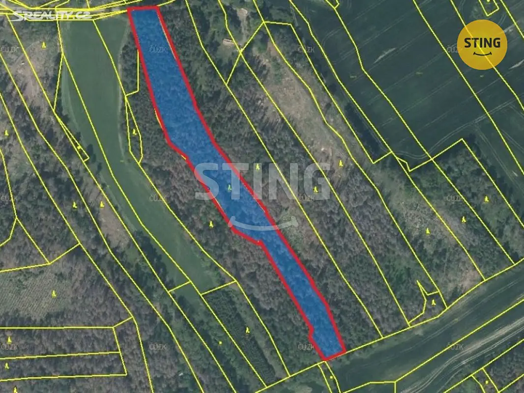 Prodej  lesa 53 674 m², Horní Radslavice, okres Žďár nad Sázavou