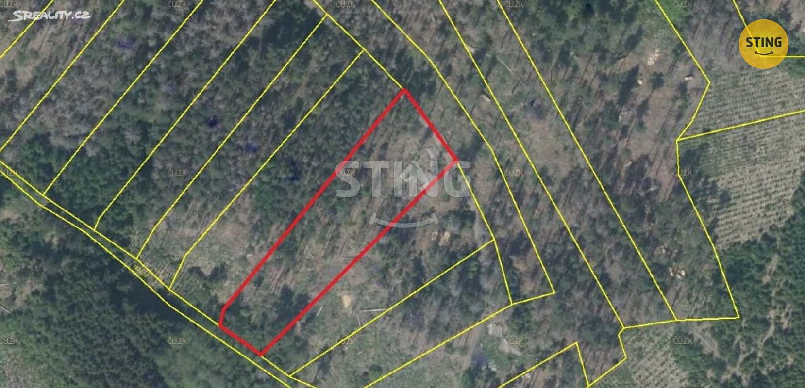 Prodej  lesa 53 674 m², Horní Radslavice, okres Žďár nad Sázavou