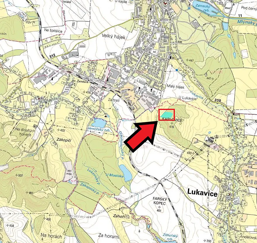 Prodej  lesa 852 m², Lukavice, okres Ústí nad Orlicí