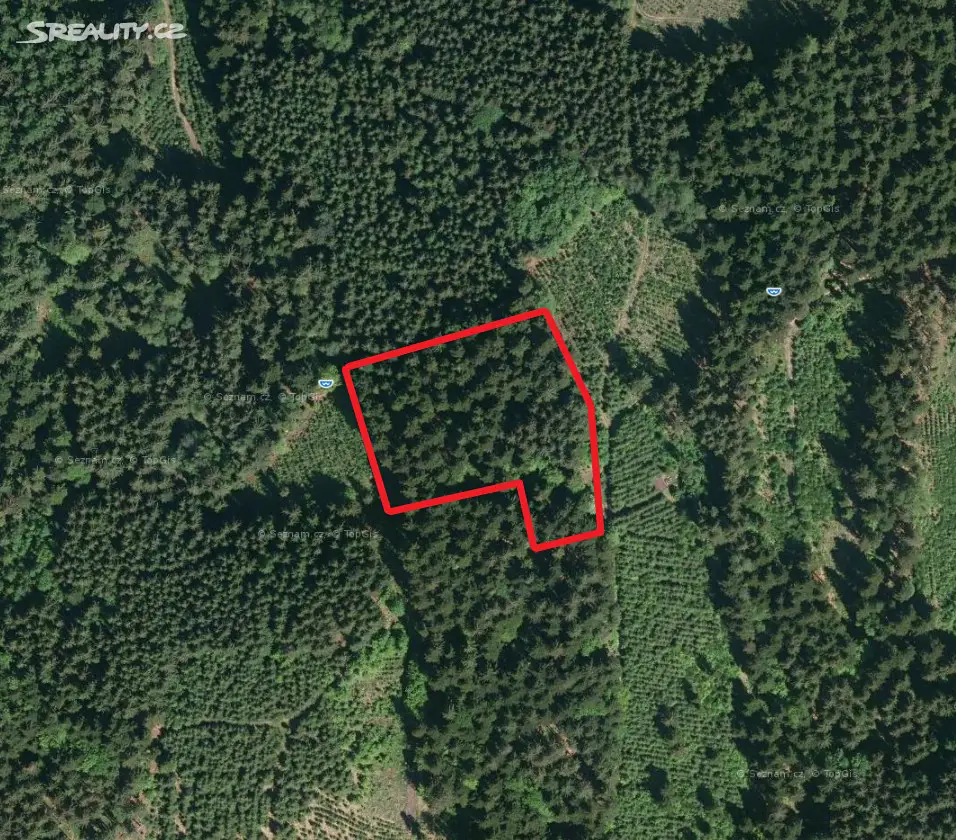 Prodej  lesa 308 m², Střelná, okres Vsetín