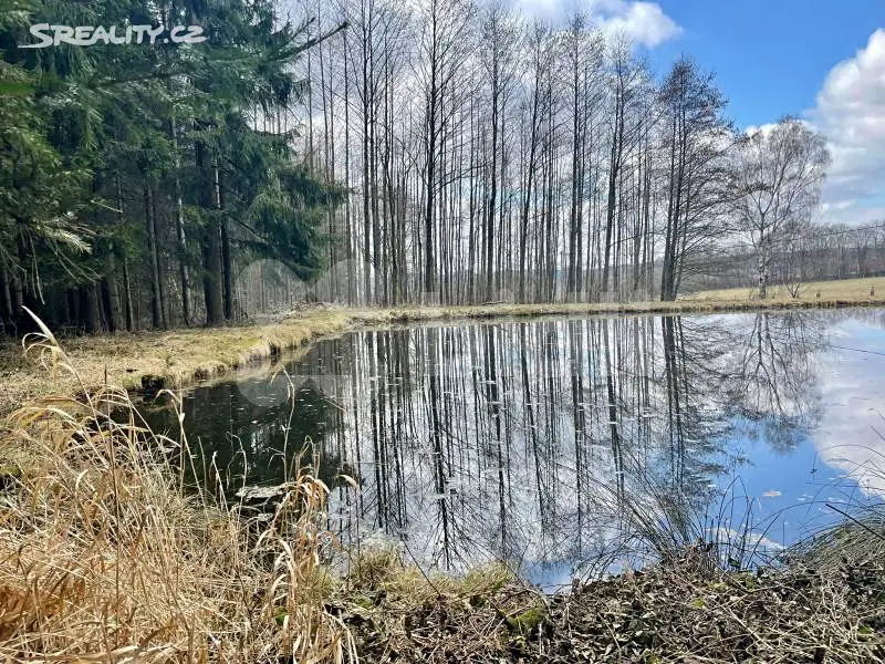 Prodej  rybníku (vodní plochy) 2 149 m², Milíčov, okres Jihlava