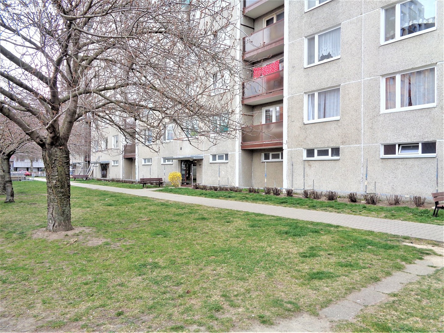 Prodej bytu 2+1 62 m², Luďka Matury, Pardubice - Studánka