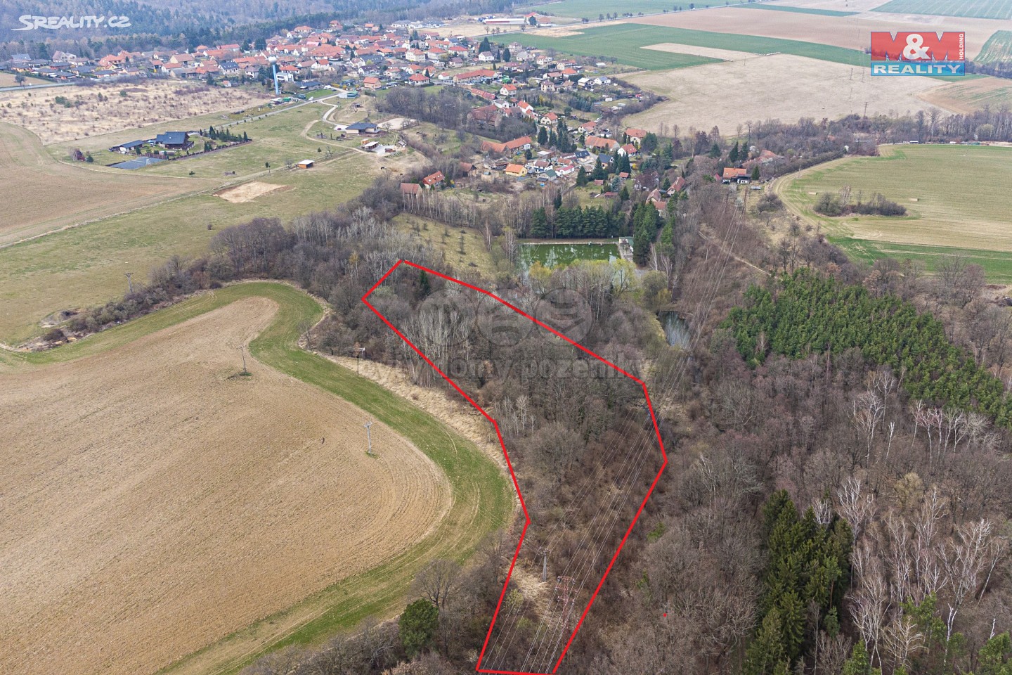 Prodej  lesa 4 114 m², Krupá, okres Kolín