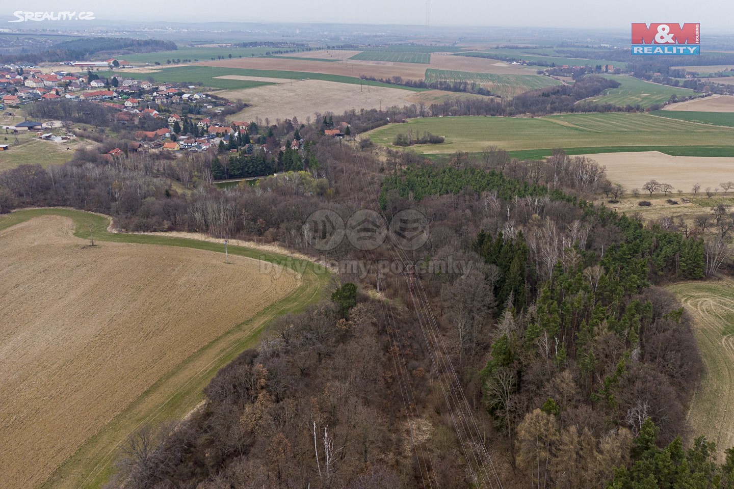Prodej  lesa 4 114 m², Krupá, okres Kolín