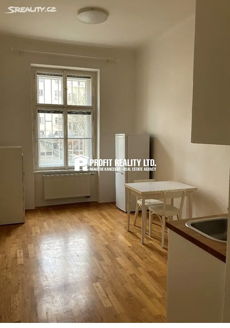 Pronájem bytu 1+1 44 m², Řipská, Praha 3 - Vinohrady