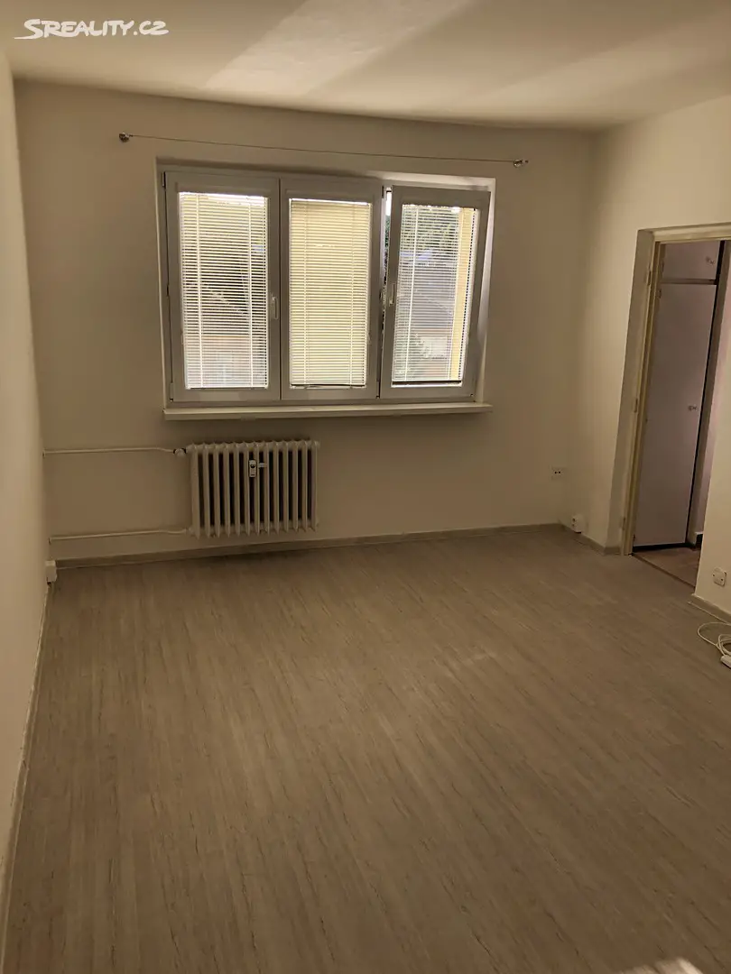 Pronájem bytu 1+1 28 m², Vídeňská, Brno - Štýřice