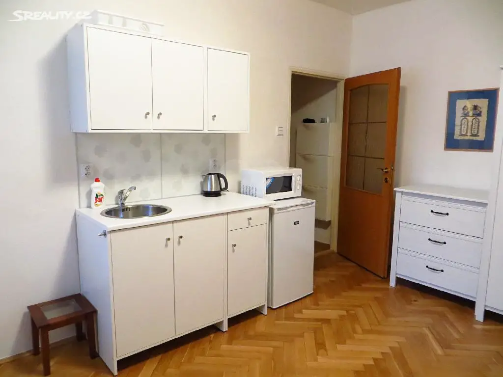 Pronájem bytu 1+kk 21 m², Dětská, Praha 10 - Strašnice