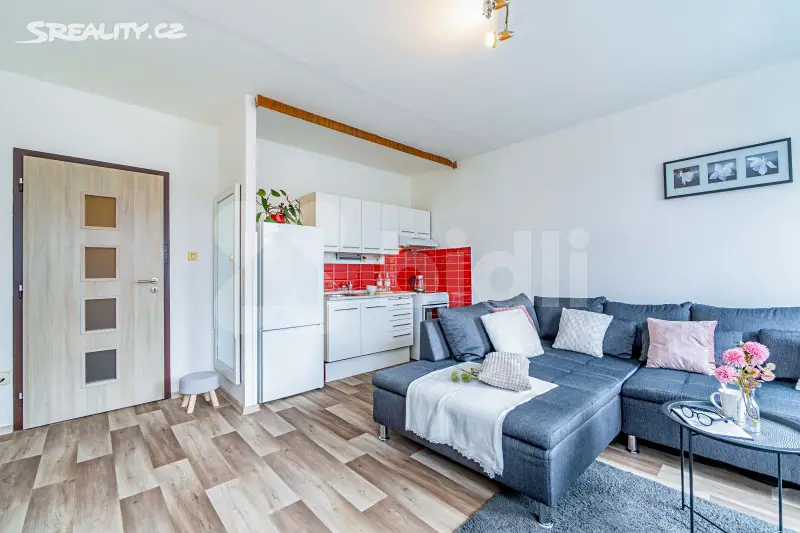 Prodej bytu 1+1 48 m², Masarykova třída, Teplice - Trnovany