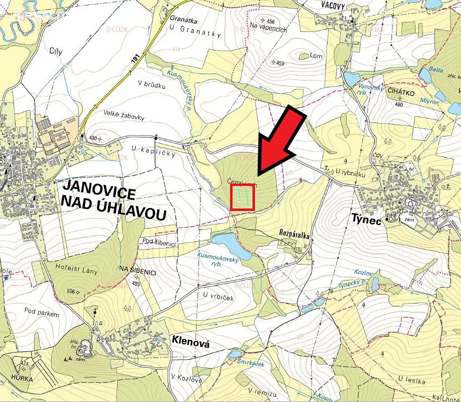 Prodej  lesa 943 m², Janovice nad Úhlavou, okres Klatovy
