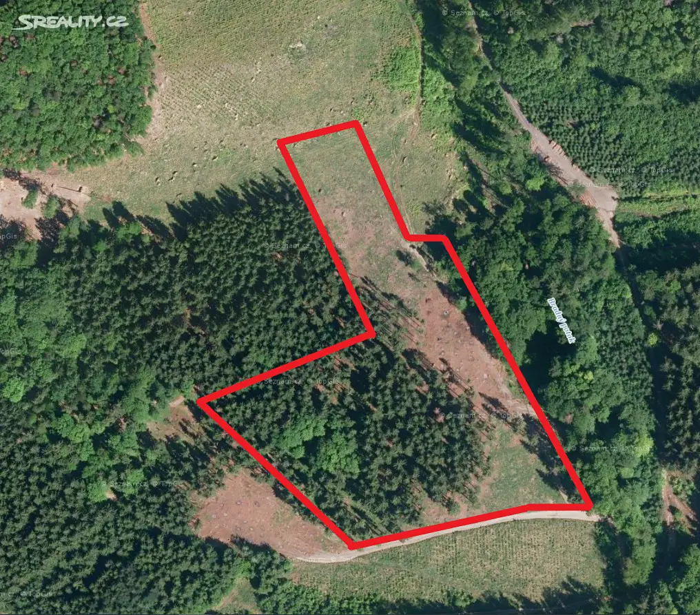 Prodej  lesa 7 340 m², Růžďka, okres Vsetín