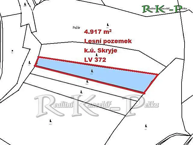 Prodej  lesa 4 917 m², Skryje, okres Brno-venkov