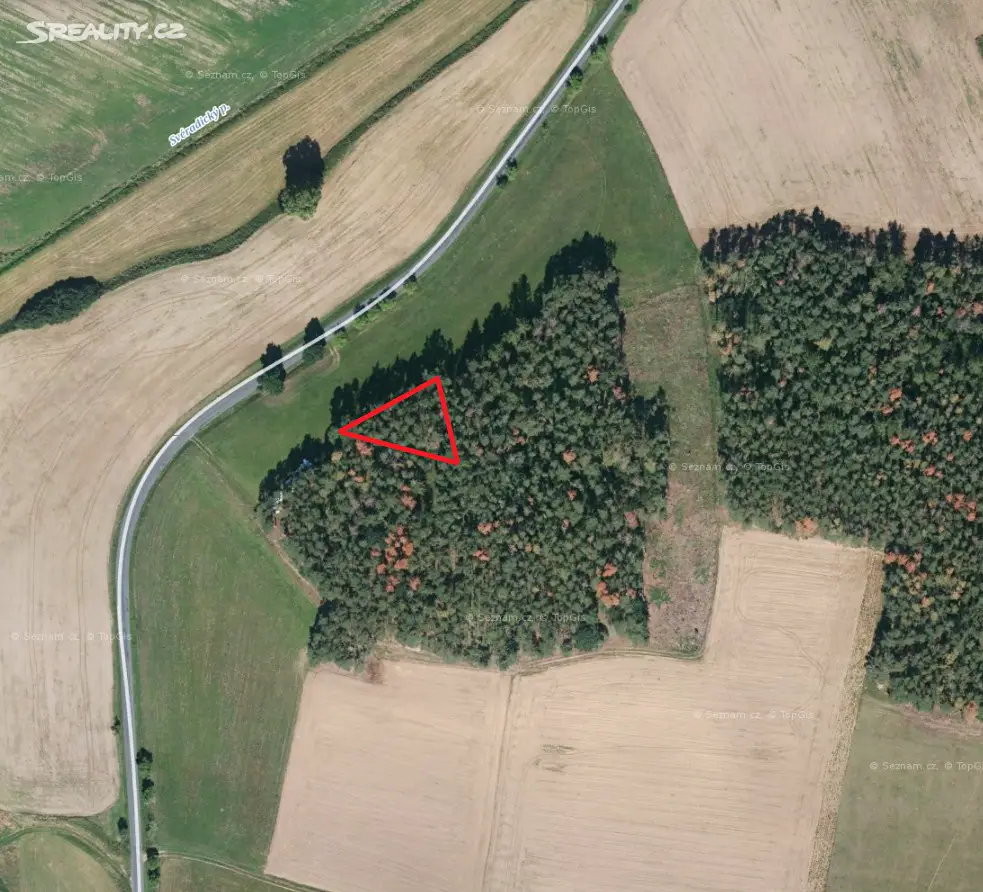 Prodej  lesa 1 055 m², Svéradice, okres Klatovy