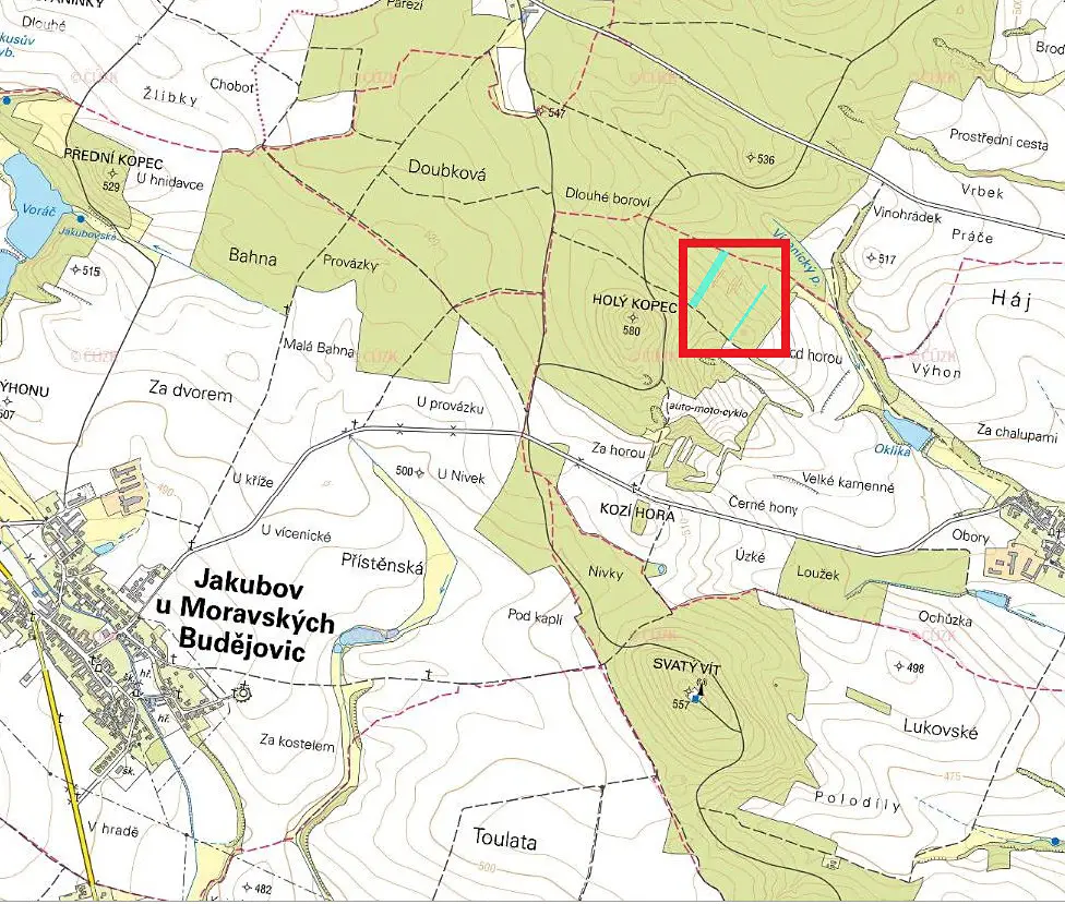 Prodej  lesa 8 908 m², Vícenice, okres Třebíč
