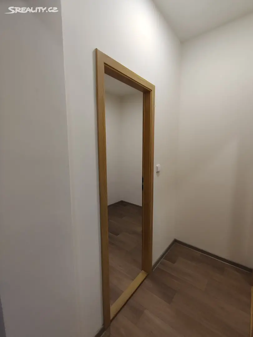 Pronájem bytu 1+1 44 m², Cejl, Brno - Zábrdovice