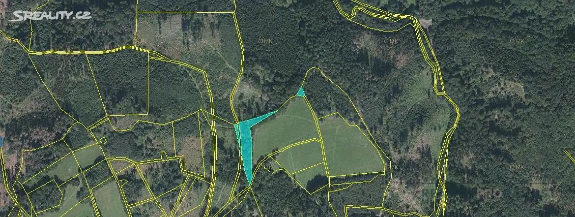 Prodej  lesa 3 240 m², Kladky, okres Prostějov