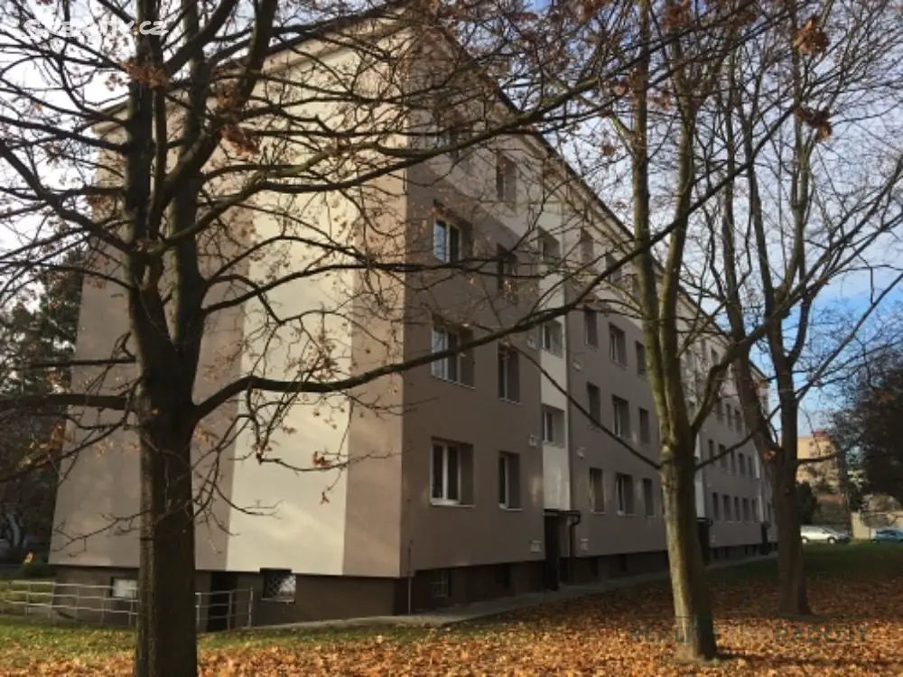 Prodej bytu 2+1 53 m², Masarykova, Ústí nad Labem - Bukov